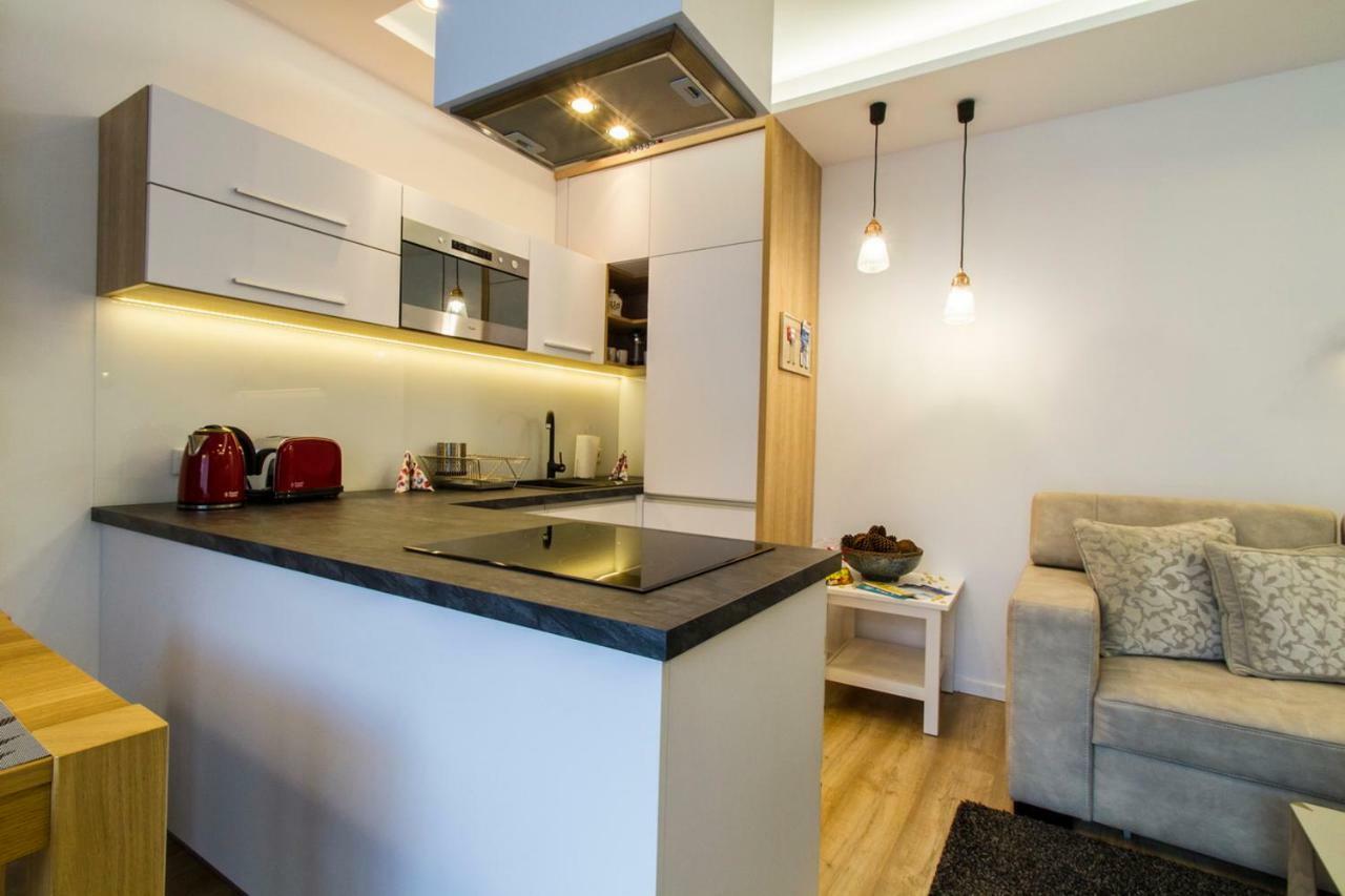 Apartament Pajo I -Rezydencja Tatry--Grota Solna--Taras--Garaz Podziemny Zakopane Ngoại thất bức ảnh